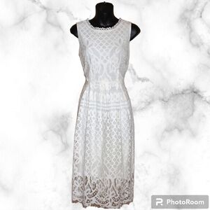Veiisar Lace Sleeveless Dress - Fully Lined
